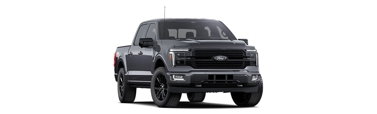Ford F-150 Platinum 2025, pickup in Carbonized Gray Metallic in Puerto Rico