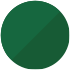 Eruption Green Metallic