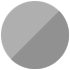 Icon Silver