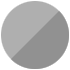 Icon Silver