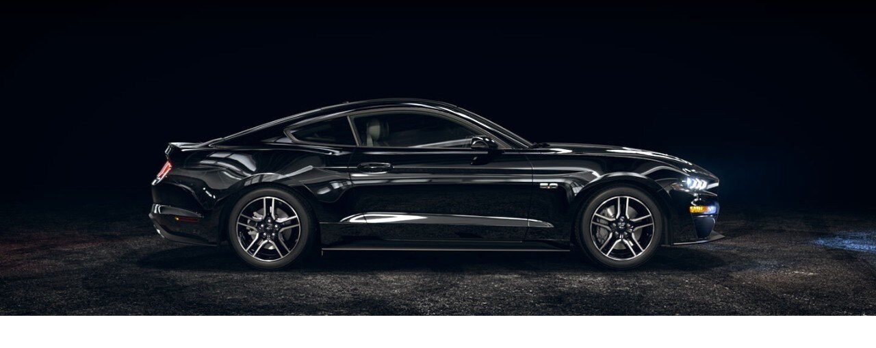 Shadow Black
