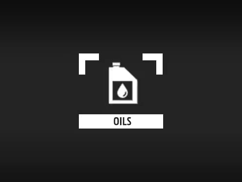 Check the oil level and filter condition of your Ford Vehicle for its proper functioning