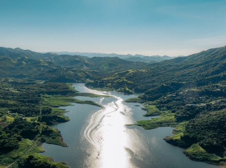 Learn about the Ford Environmental Grants Program that Contributes to a Better World. Discover it!