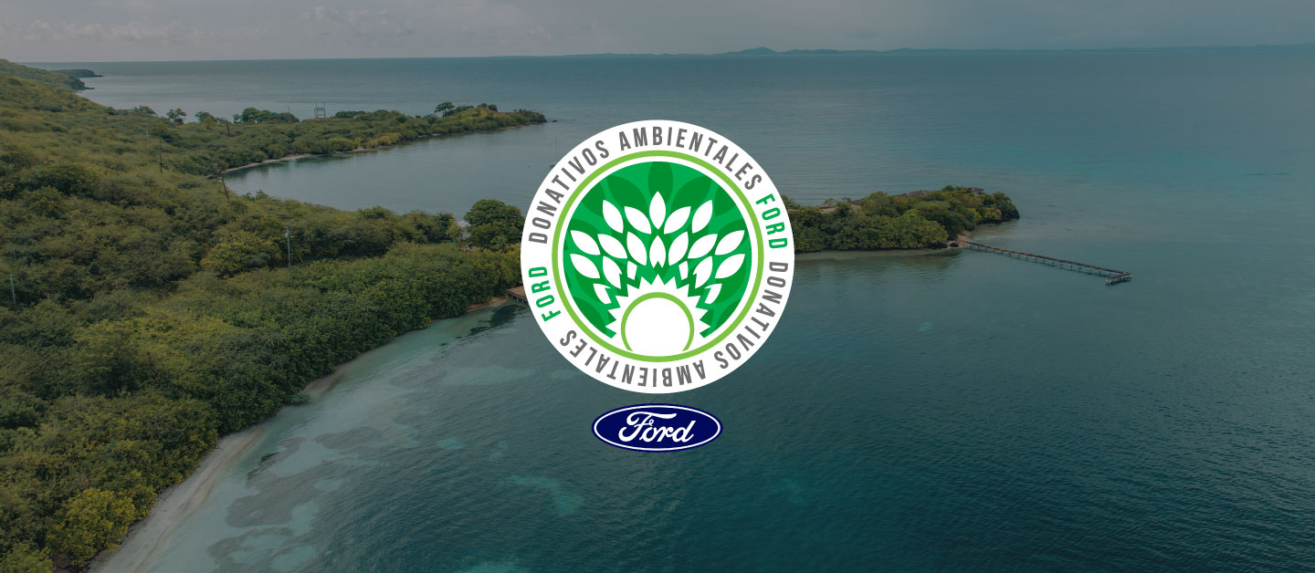 Lee acerca del Programa de Donativos Ambientales de Ford y Políticas de Responsabilidad Social