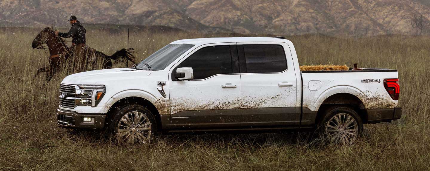 Ford F150 es una camioneta de trabajo, potente y con gran capacidad de carga 