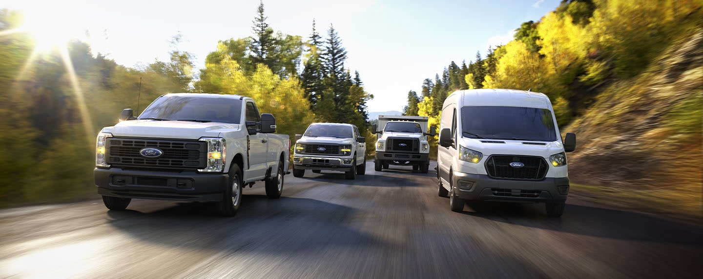 Ford Transit, van para actividades de trabajo. Conoce los vehículos disponibles en Puerto Rico