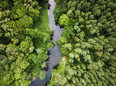 Descubre el Programa de Donativos Ambientales de Ford y Políticas de Responsabilidad Social.